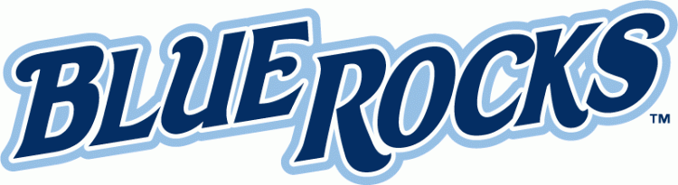 Wilmington Blue Rocks 2010-pres wordmark logo iron on transfers for clothing